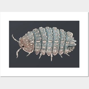 Reductoniscus tuberculatus Isopod Posters and Art